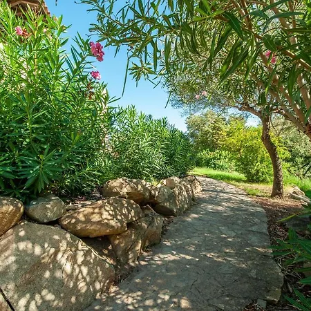 Bilo 4 Giardino